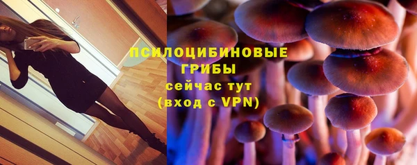 каннабис Арсеньев